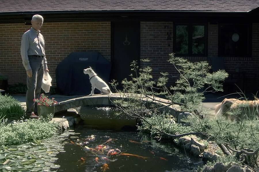 koi-pond__900x600